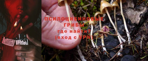 меф Белокуриха