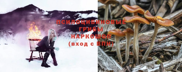 Альфа ПВП Беломорск