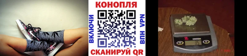 Шишки марихуана THC 21% Кондопога